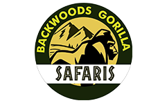 Backwoods Gorilla Safaris | 4 Days Rwanda Primate Safaris - Backwoods Gorilla Safaris